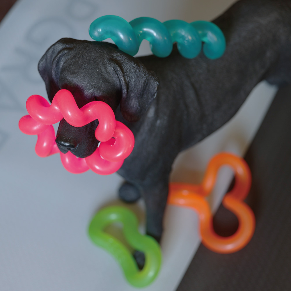 【先行受注】ストレス解消！カミカミパワー全開。ペットもフィットネス【 NEON TUBE BITE】