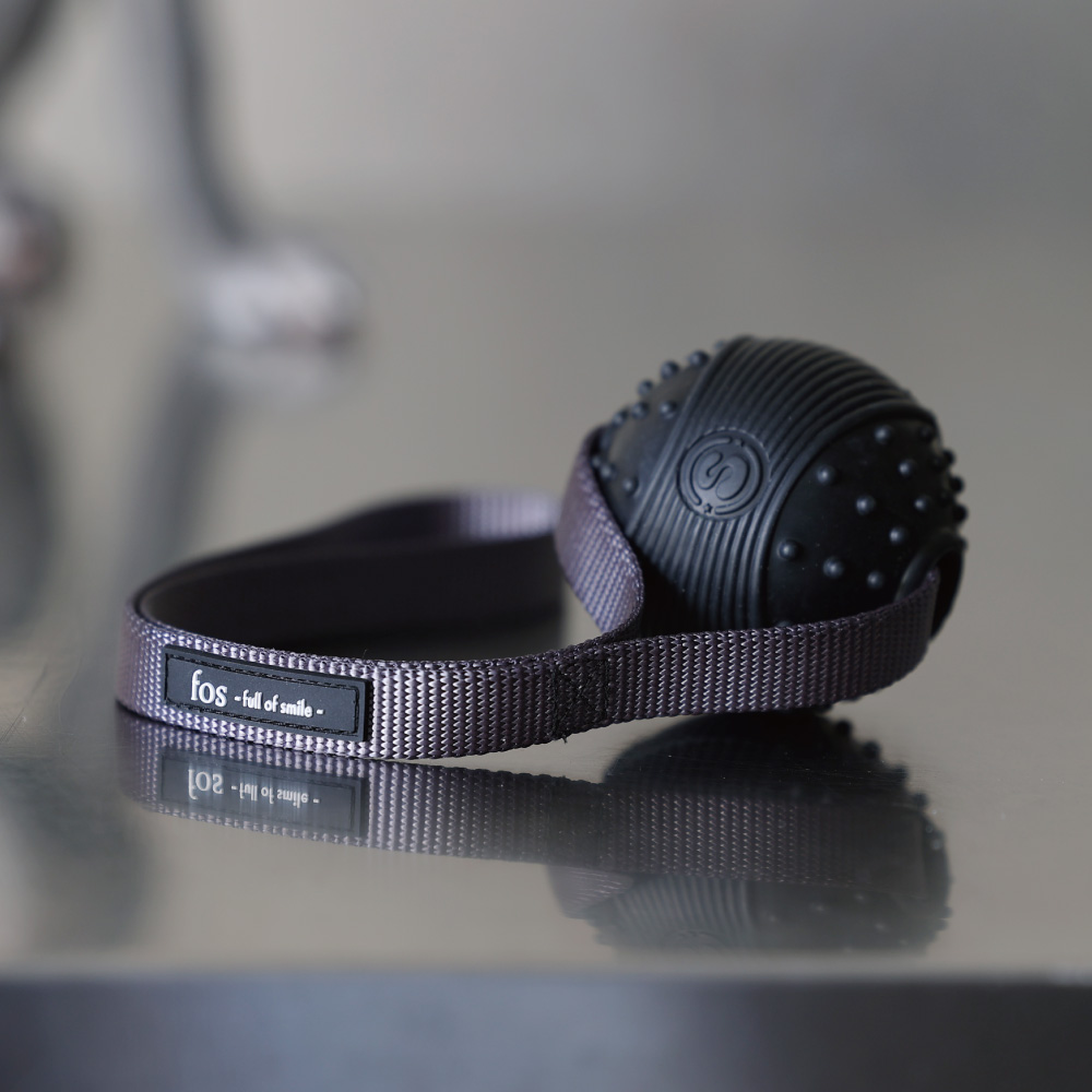 【先行受注】“引っぱる・噛む・遊ぶ” を、これ一つで【 Noble Bond Ball Tug】