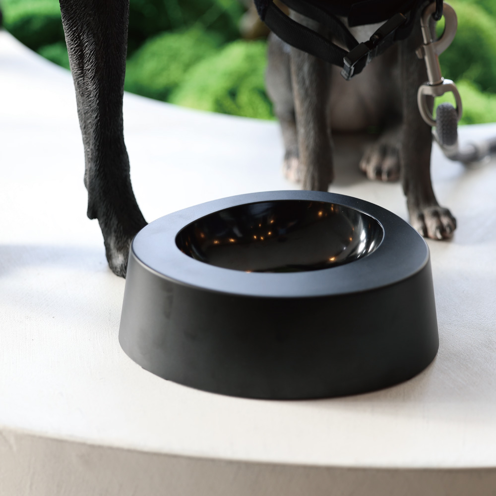 【先行受注】ORBIT