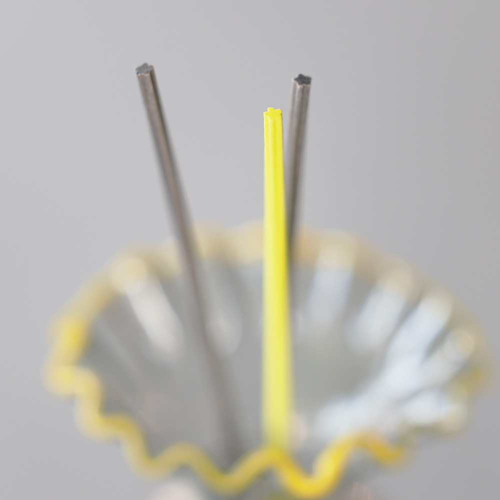 【先行受注】 星型スティックで願いもかなうかも？【REED CONSTELLATION】