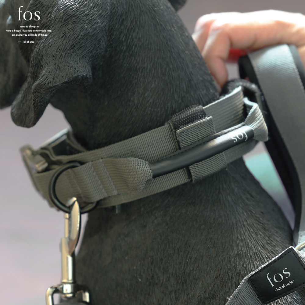 【近日発売】首にかけるのは愛情　外れないのは安心感【Noble Collar】