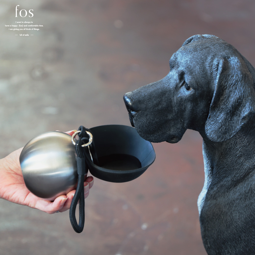 【fos】見た目と機能を兼ね備えたball型水筒【Orb Bottle】