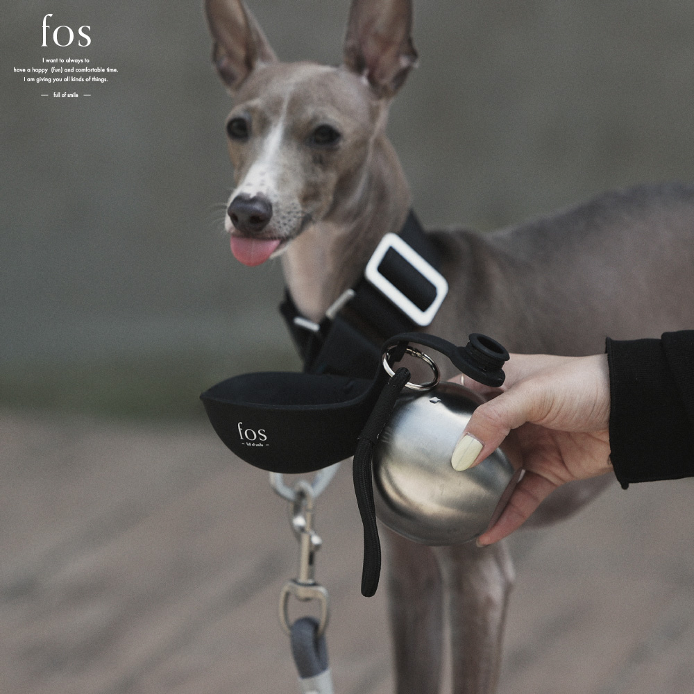 【fos】見た目と機能を兼ね備えたball型水筒【Orb Bottle】