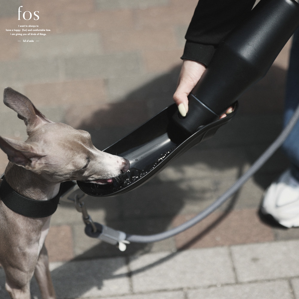 散歩の必需品、大容量で愛犬の水分ケア【Sleek Bottle】