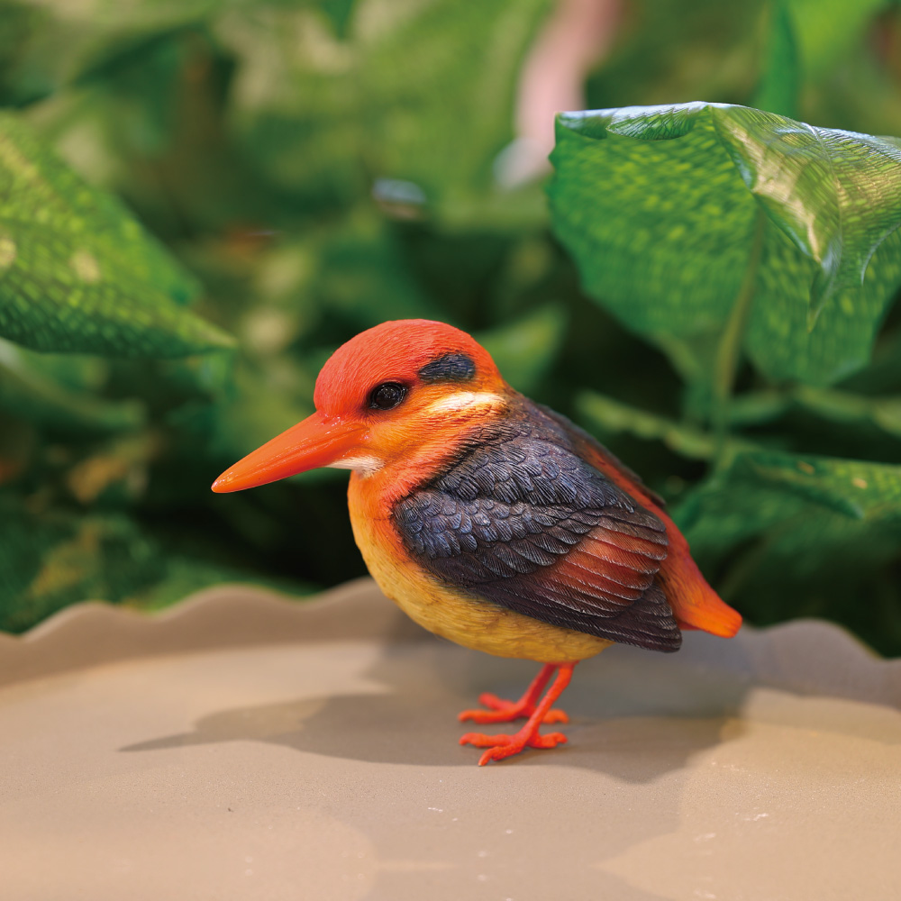 【販売予定商品】【BIRDIE BILL】BLACK-BACKED KINGFISHER