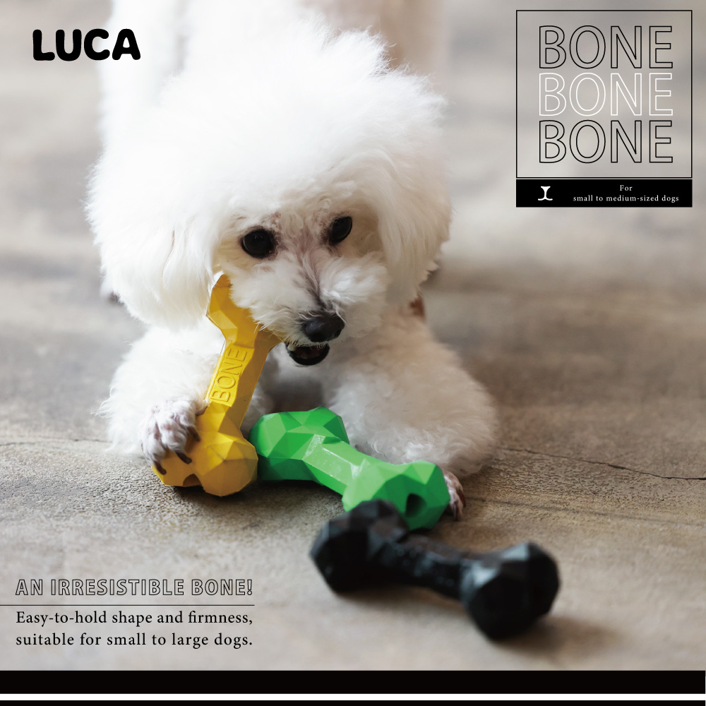 【7月中旬入荷】【LUCA】ウェルカム カムカム【BONE BONE BONE】