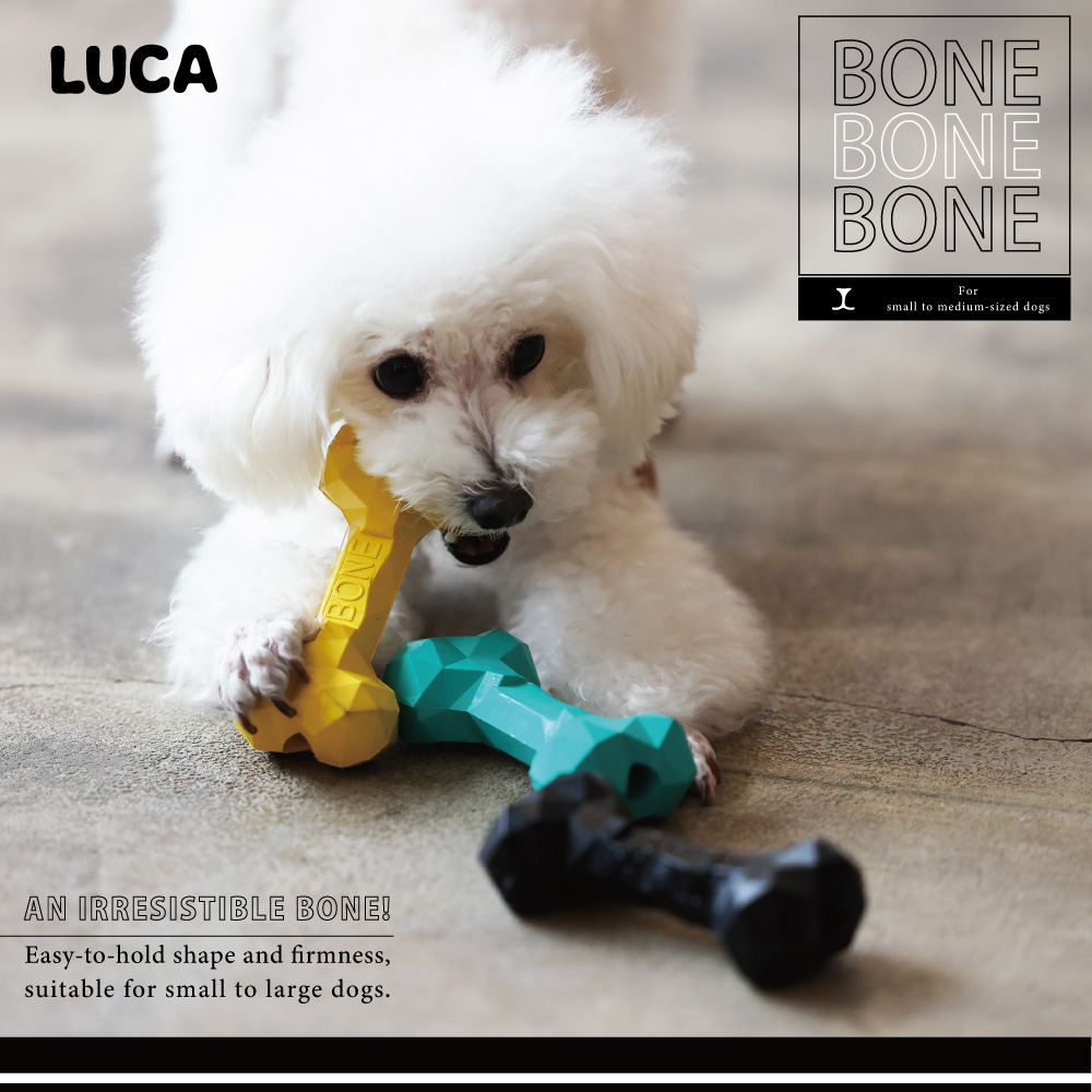 【7月中旬入荷】【LUCA】ウェルカム カムカム【BONE BONE BONE】