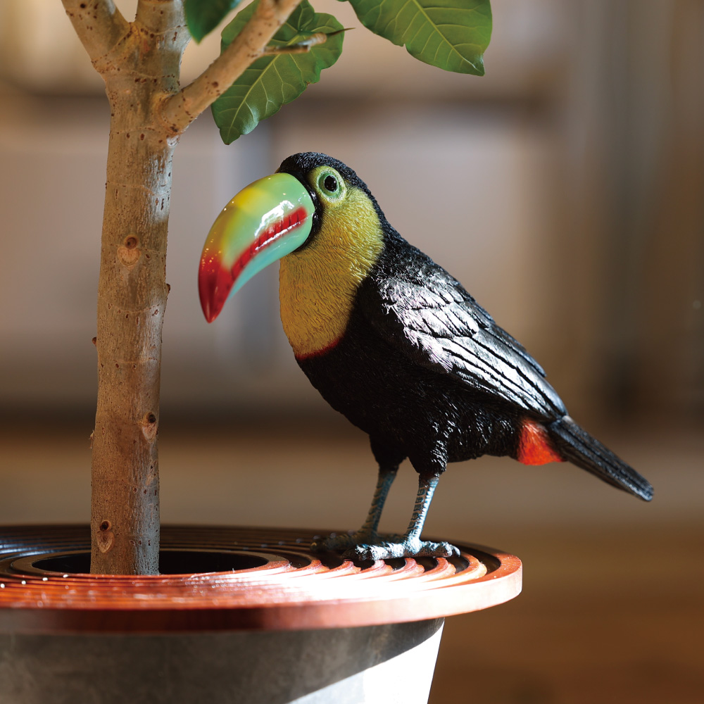 【販売予定商品】【PET BANK】KEEL-BILLED TOUCAN