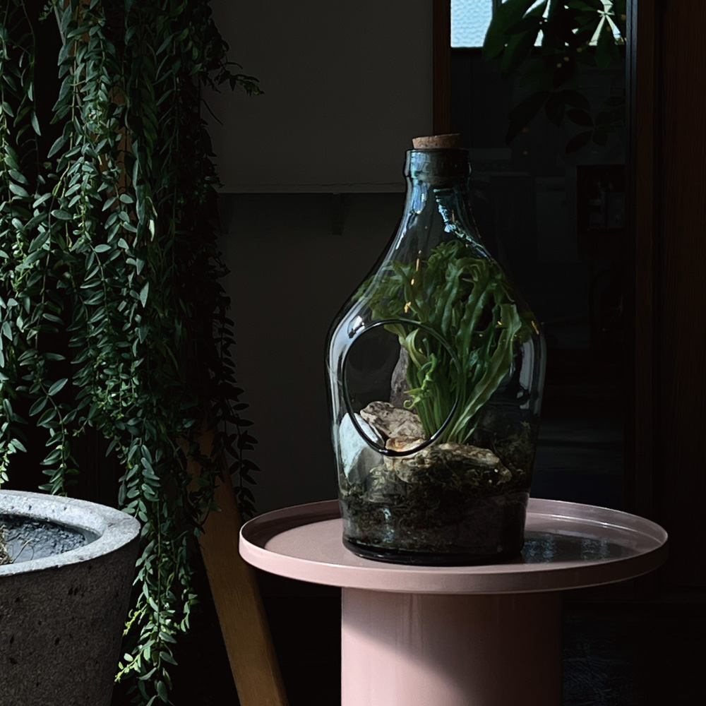 【販売予定商品】あなたの世界をガラスに閉じ込めて【TERRARIUM THE WORLD】