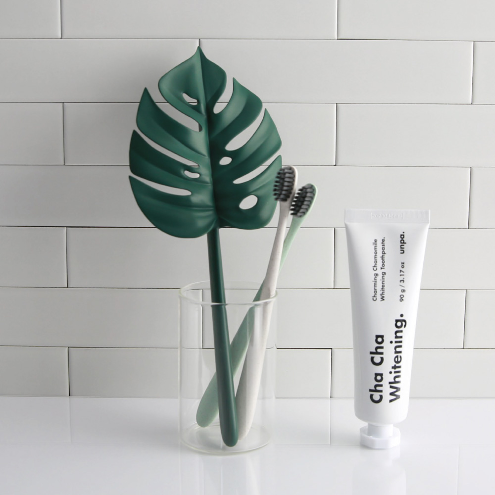 【先行受注】【DooDoo】濡れても美しく、乾いた姿もインテリア【MONSTERA SQUEASEE】