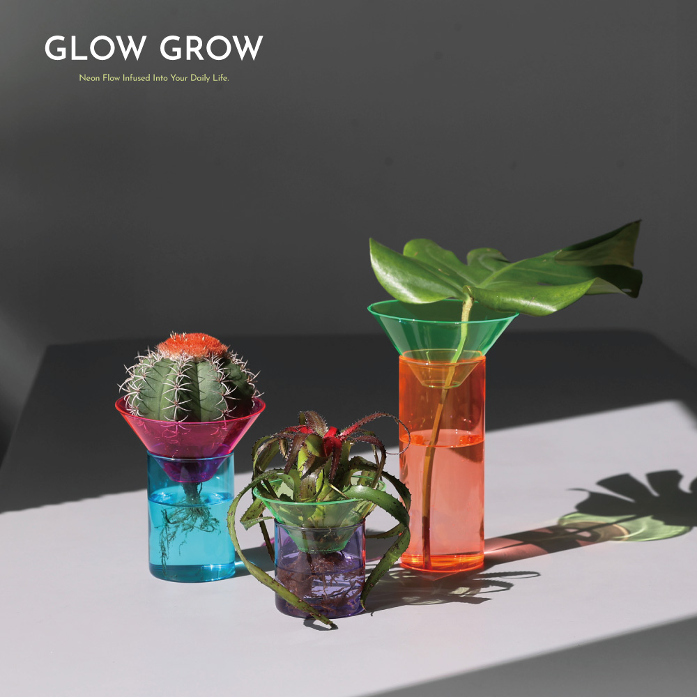 日常に差し込むNeon Flow【GLOW GROW】