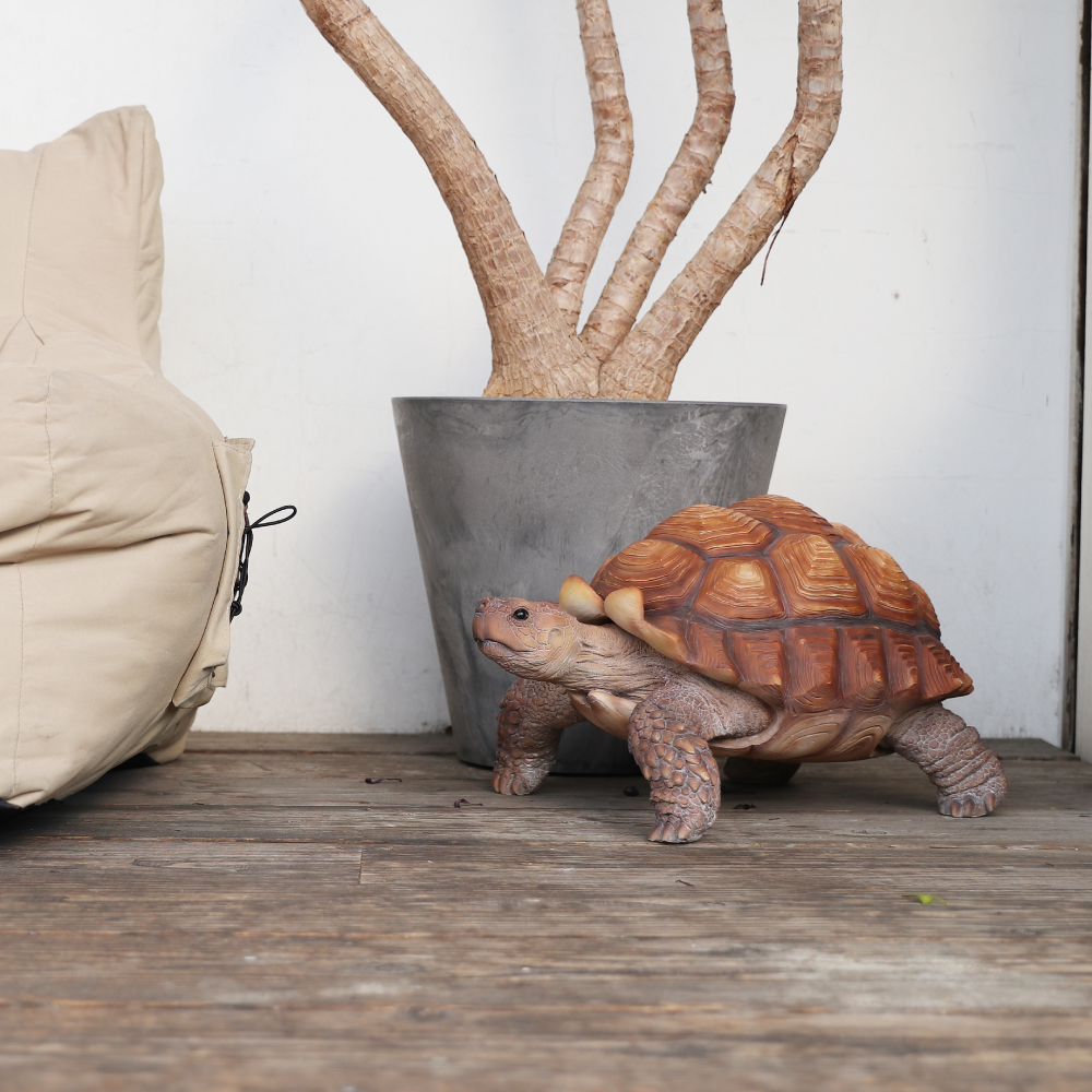 PET BANK】SPURRED TORTOISE MOM | magnet Inc.