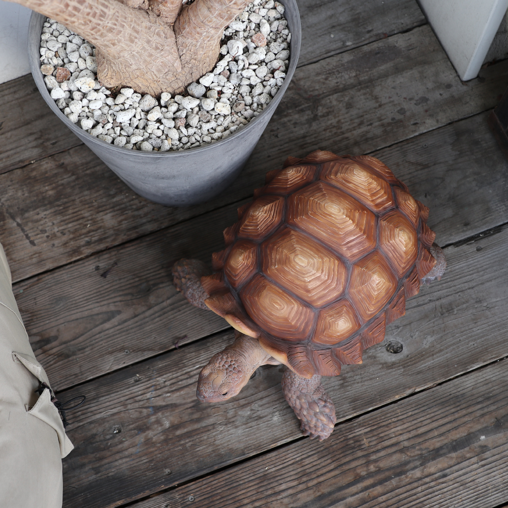 PET BANK】SPURRED TORTOISE MOM | magnet Inc.