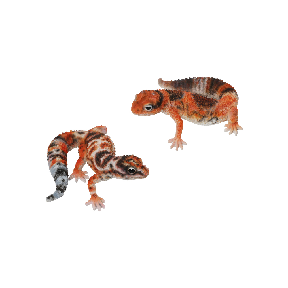 【REPTILES MAG】AFRICAN FAT TAILED GECKO
