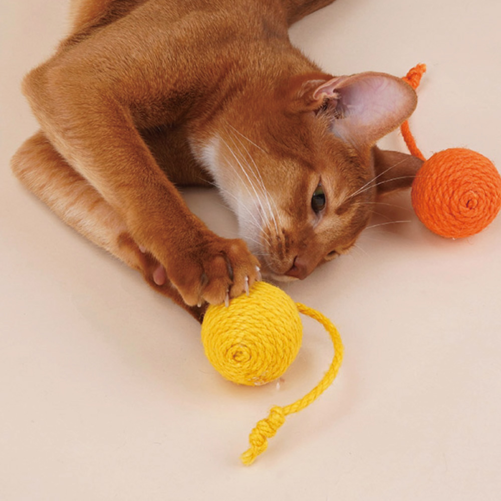 【ZEZE】FUNNY SISAL ROPE TOY