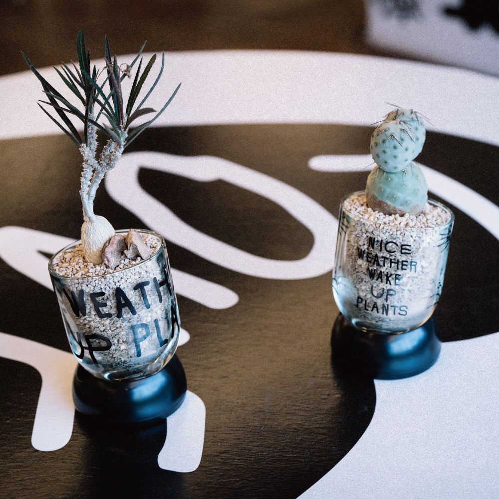 【Bmix Studio】INAP EDITION CLEAR POT